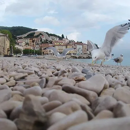 Near The Sea *